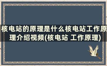 核电站的原理是什么核电站工作原理介绍视频(核电站 工作原理)